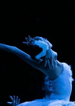 ЛЕБЕДИНОЕ ОЗЕРО