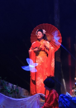 Мадам Баттерфляй