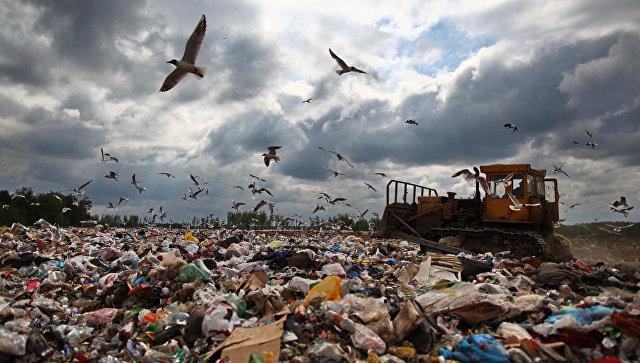 В России открылась горячая линия по вопросам переработки отходов