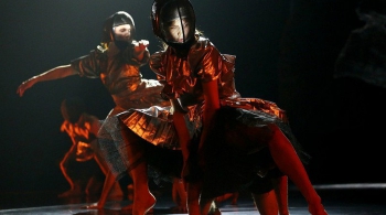 Имаго-ловушка