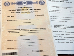 В ПФР рассказали, как россияне распоряжаются средствами из маткапитала