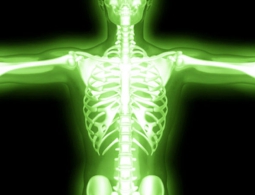 Что радиация делает с телом?