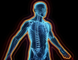 Microsoft создаст «карту» иммунной системы человека