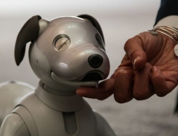 #CES 2018 | Посетители CES 2018 пришли в восторг от новой версии робота Aibo