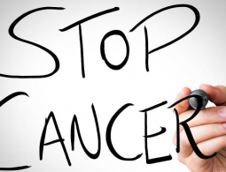 Обнаружен вирус, способный вылечить рак мозга