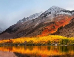 Apple добавила в macOS поддержку внешних видеокарт