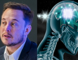 Neuralink Илона Маска строит лабораторию для испытаний на животных