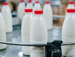 Продукты с заменителями молочных жиров начнут маркировать "открыто"