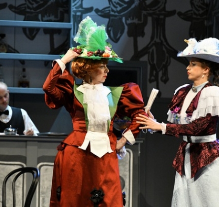 Дом для сумасшедших | Русский драматический театр