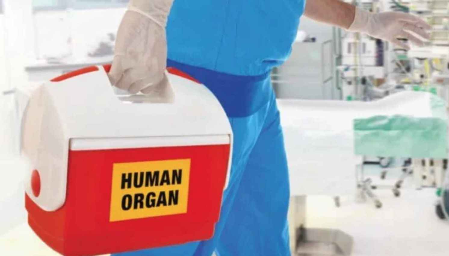 Создана технология для полного истребления вирусов в донорских органах