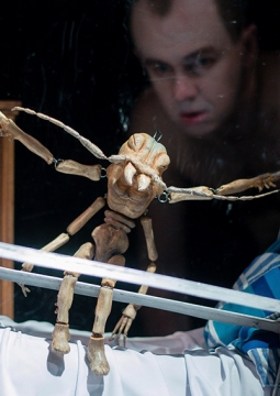 Превращение | Пермский театр кукол