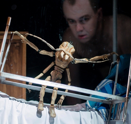 Превращение | Пермский театр кукол