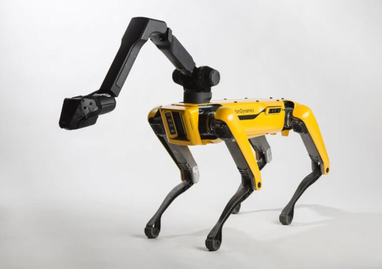 Boston Dynamics начнет массовое производство роботов SpotMini этим летом