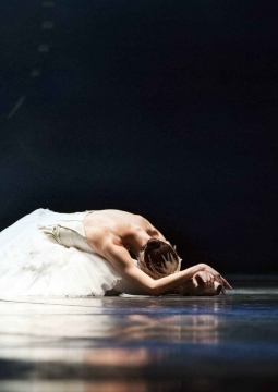 Лебединое озеро