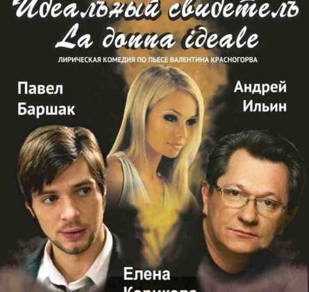 Идеальный свидетель