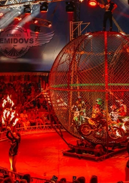 Цирк Демидовых