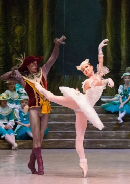 Спящая красавица | Русский балет Вячеслава Гордеева