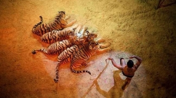 Итальянский ЦИРК «Togni»