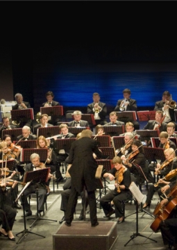 Новосибирский академический симфонический оркестр | Цикл 