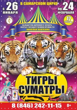 Тайна королевских тигров | Цирк