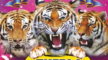 Тайна королевских тигров | Цирк