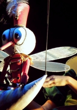 Муха-Цокотуха | Театр кукол им.В.Вольховского