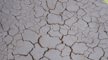 Ревизор | Коляда-театр