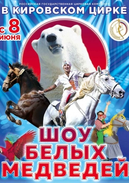 Северное сияние | Цирк