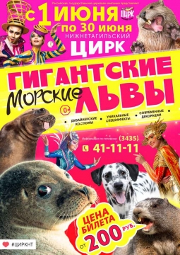 Гигантские морские львы | Цирк