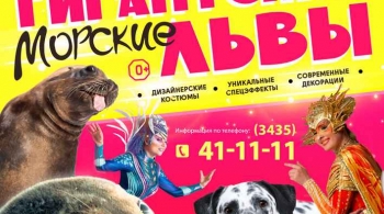 Гигантские морские львы | Цирк