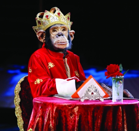 Звезды мирового цирка