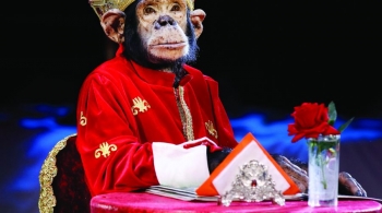 Звезды мирового цирка