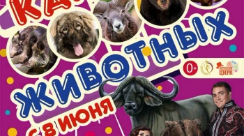 Цирк | Карусель Животных