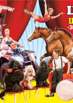 Золотая Арена | цирк-шапито