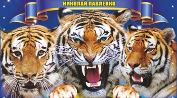 Тайна королевских тигров | Цирк