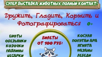 Звероград | Выставка