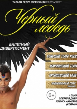 Черный лебедь