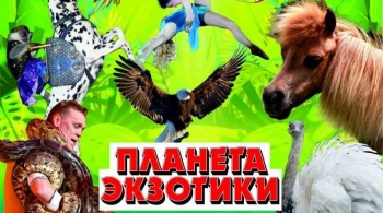 Планета экзотики | Цирк