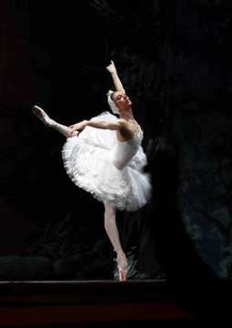 Лебединое озеро