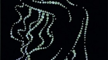 Кошка на раскаленной крыше