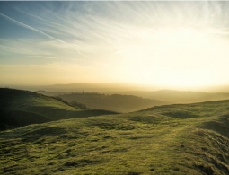 Гороскоп для успешных женщин с 1 по 7 июля