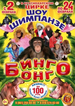 Бинго-Бонго | Цирк