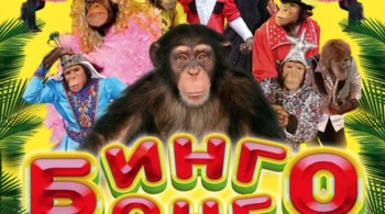 Бинго-Бонго | Цирк