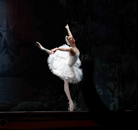 Лебединое озеро