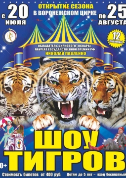 Тайна королевских тигров | Цирк