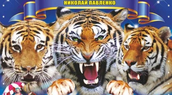 Тайна королевских тигров | Цирк