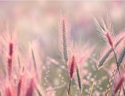 Гороскоп для успешных женщин c 8 по 14 июля