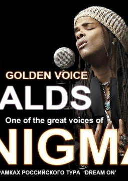 Эндрю Дональдс | Enigma