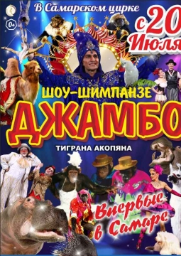 ДЖАМБО | Цирк