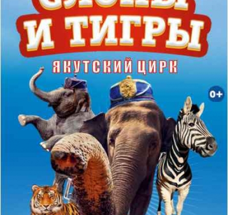 Итальянский ЦИРК «Togni»